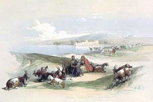 _PublishingImages_90000.jpg (1)