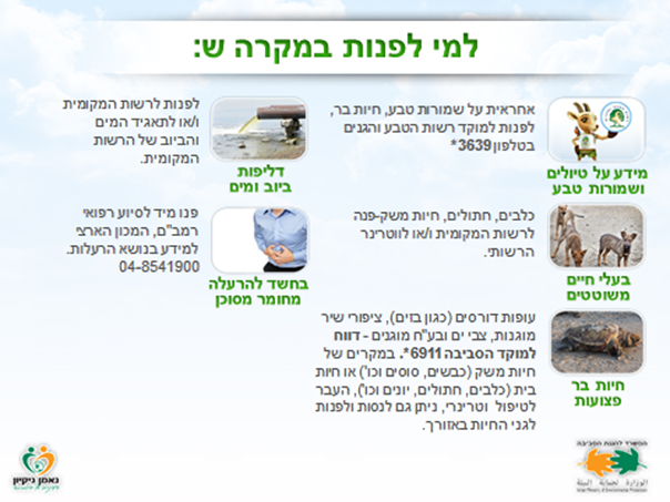 מקורות מידע