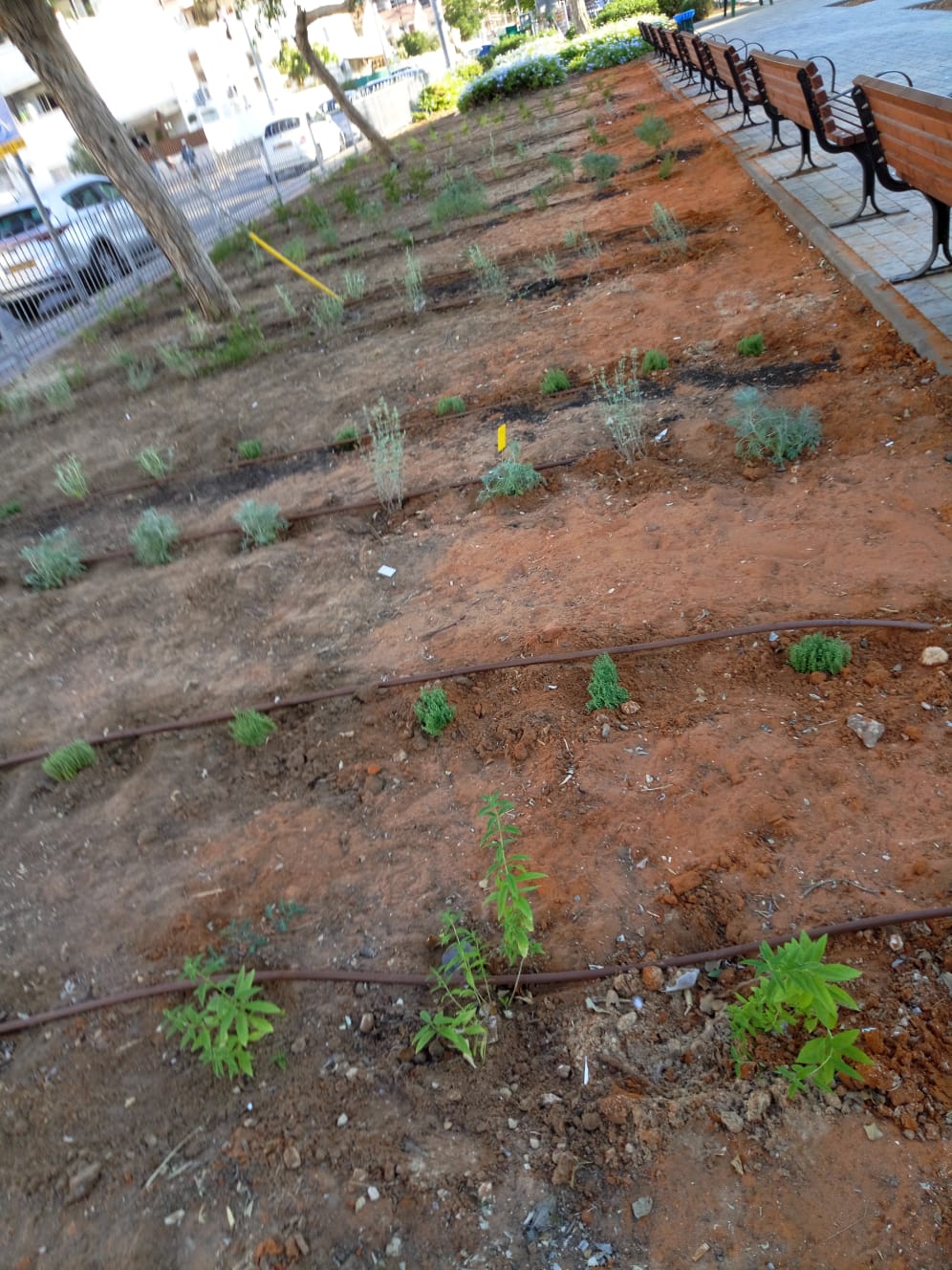 שבילי מאכל קהילתיים גן הלוחמים רובע ב