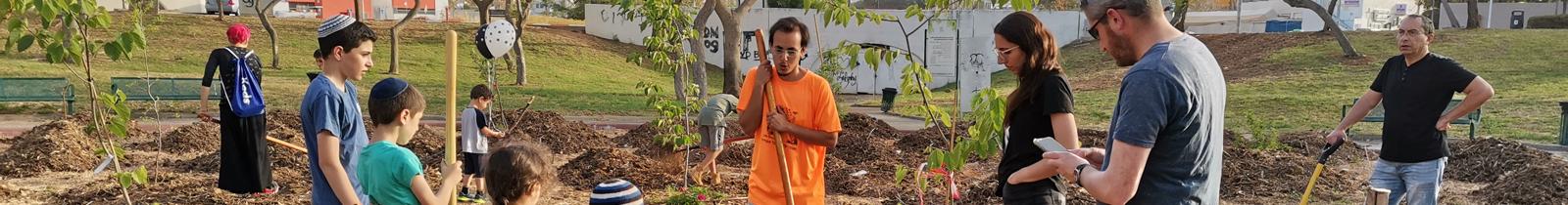 מוקדנים מול מסכי מחשב