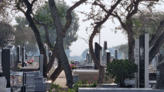 בצל עצי השיטה, ארץ חיים