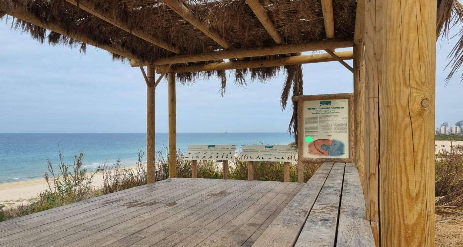 עם הפנים קדימה