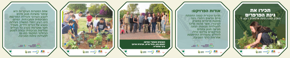 גינת הפרפרים