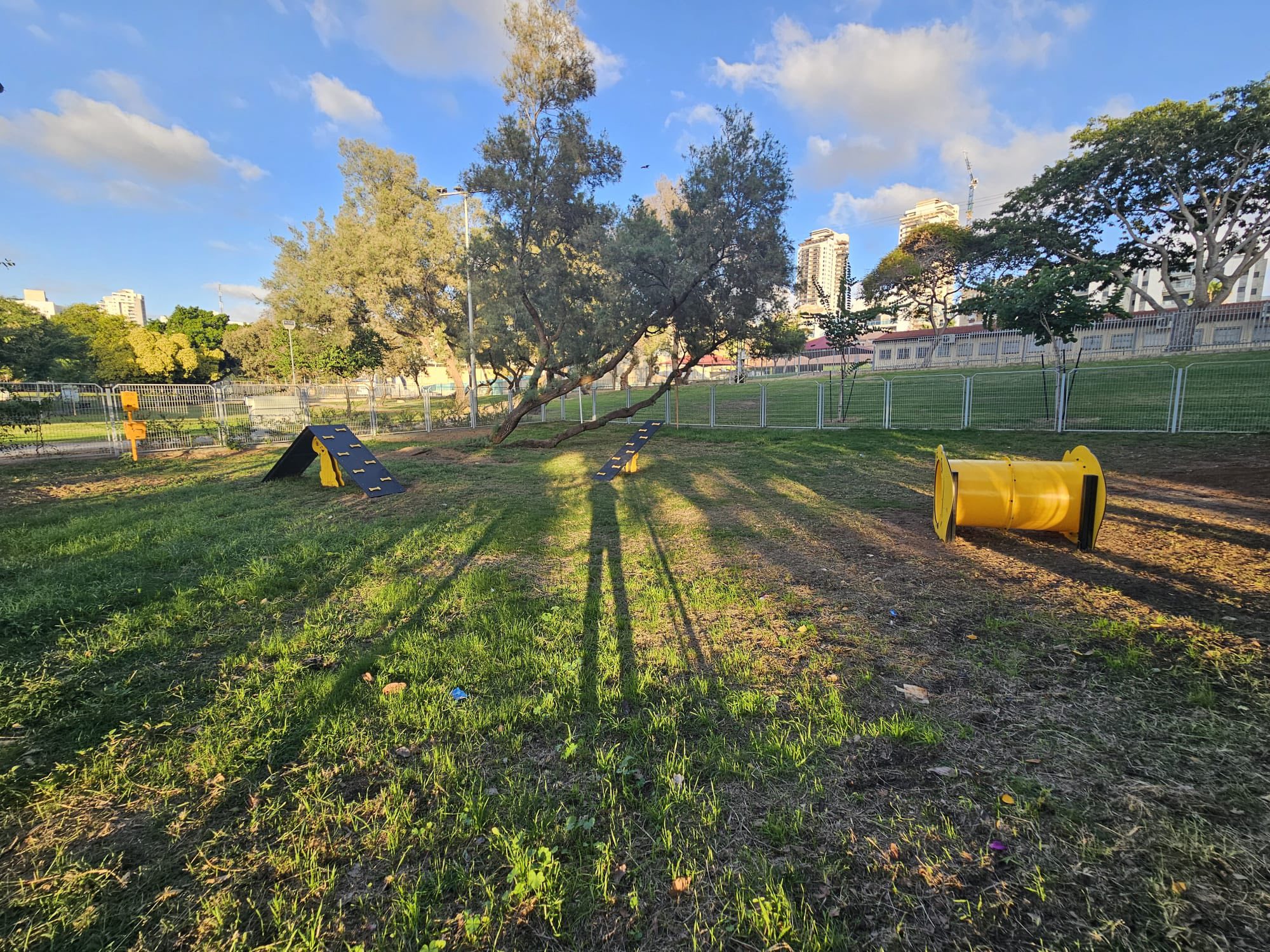 פארק הכלבים בד'