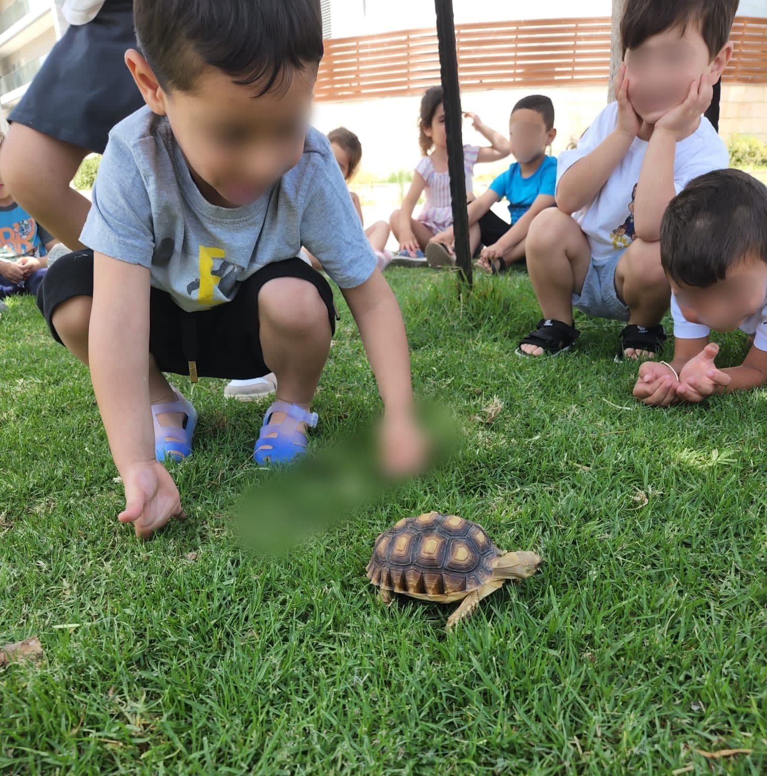 תכנית שלובי ידיים