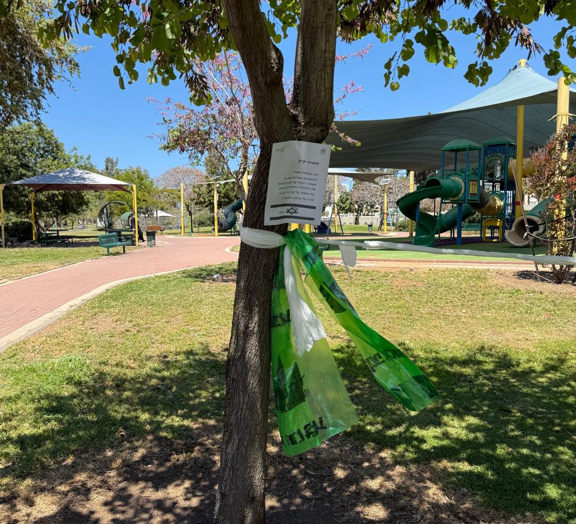 נערכים לעצמאות